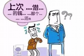 洛龙专业讨债公司有哪些核心服务？